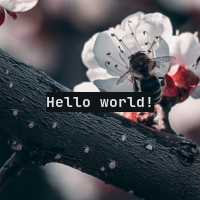 "Hello world!" window